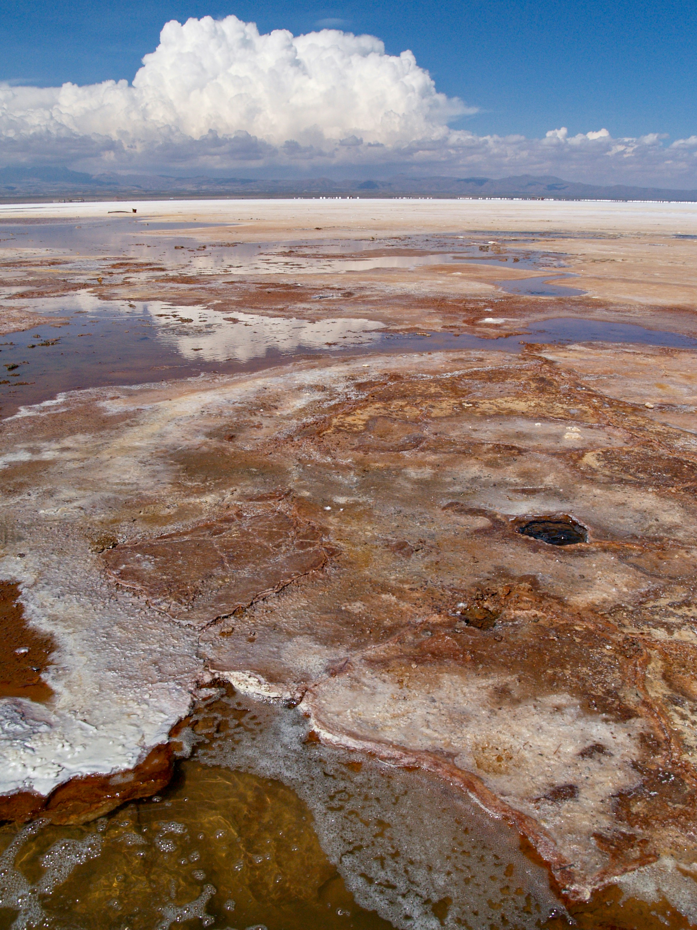 Photo by peterburdon