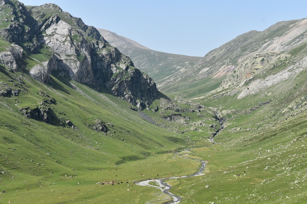 green and gray mountains during daytime