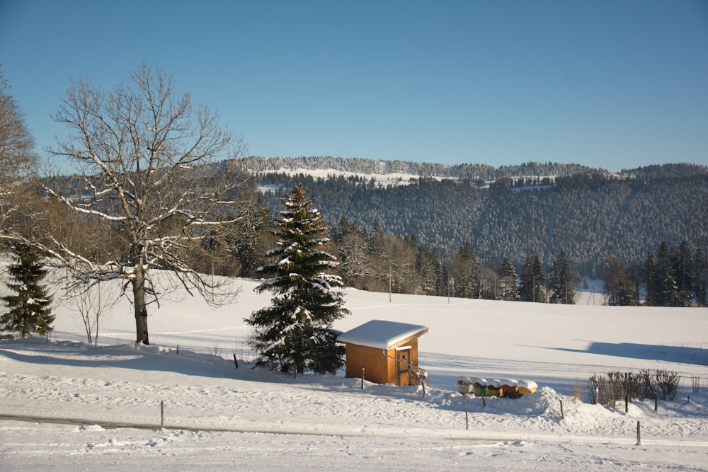 Maison en bois brun sur un sol enneigé près des arbres pendant la journée