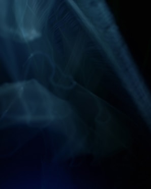 A dark, abstract landscape with swirling shadows and light.