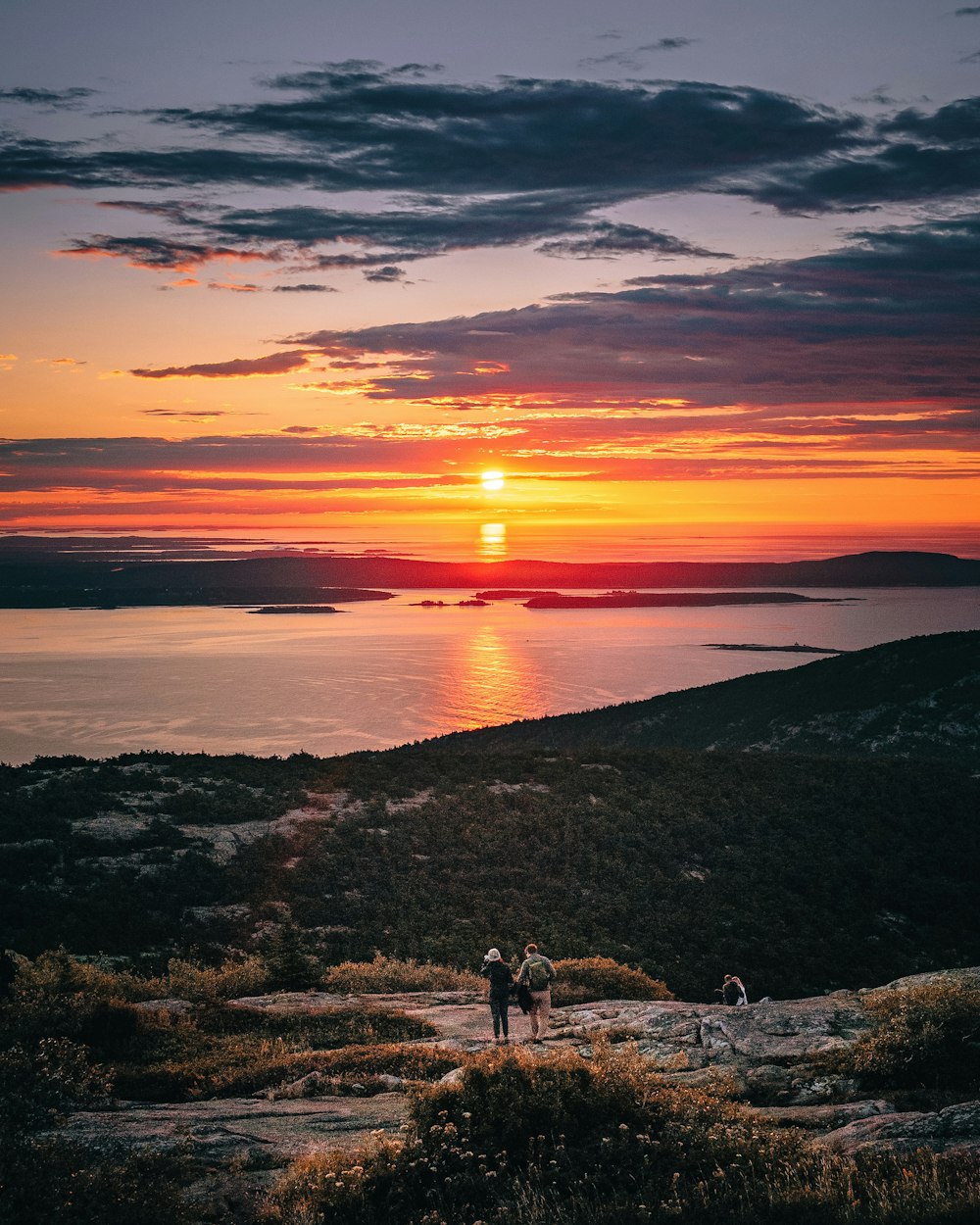 person standing on green grass field near body of water during sunset