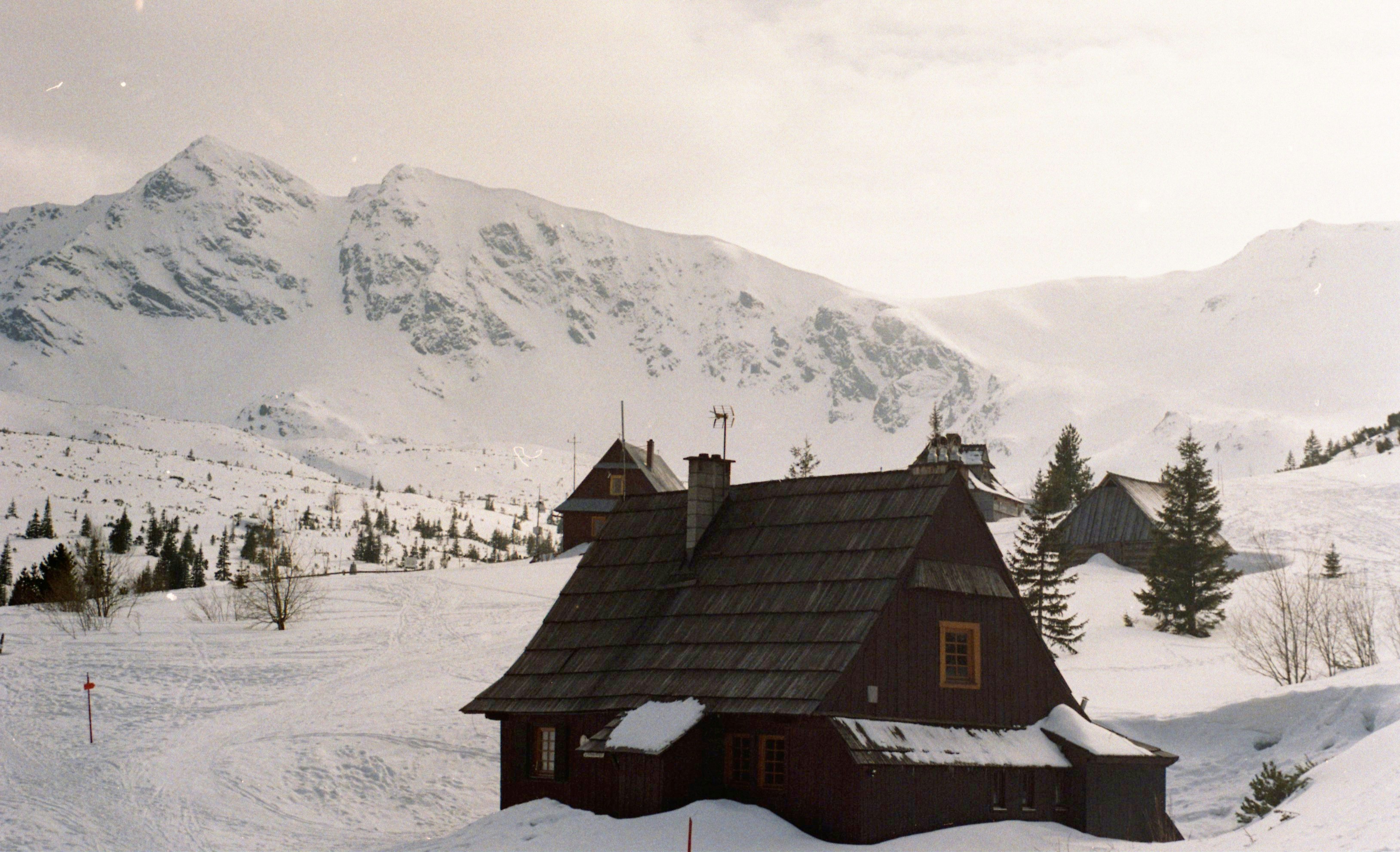 brown wooden house on snow covered ground