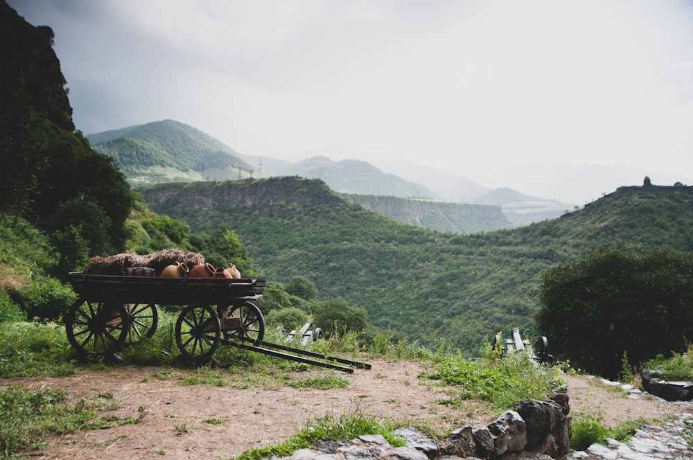 brown wooden carriage on green grass field near mountain during daytime