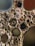 A detailed view of numerous oil droplets suspended in water, creating a mosaic of circular and oval shapes. The droplets range in size, with some containing smaller bubbles inside. Light reflects off the surface, creating a shimmering effect. The backdrop is a blend of muted colors, adding depth and contrast to the scene.