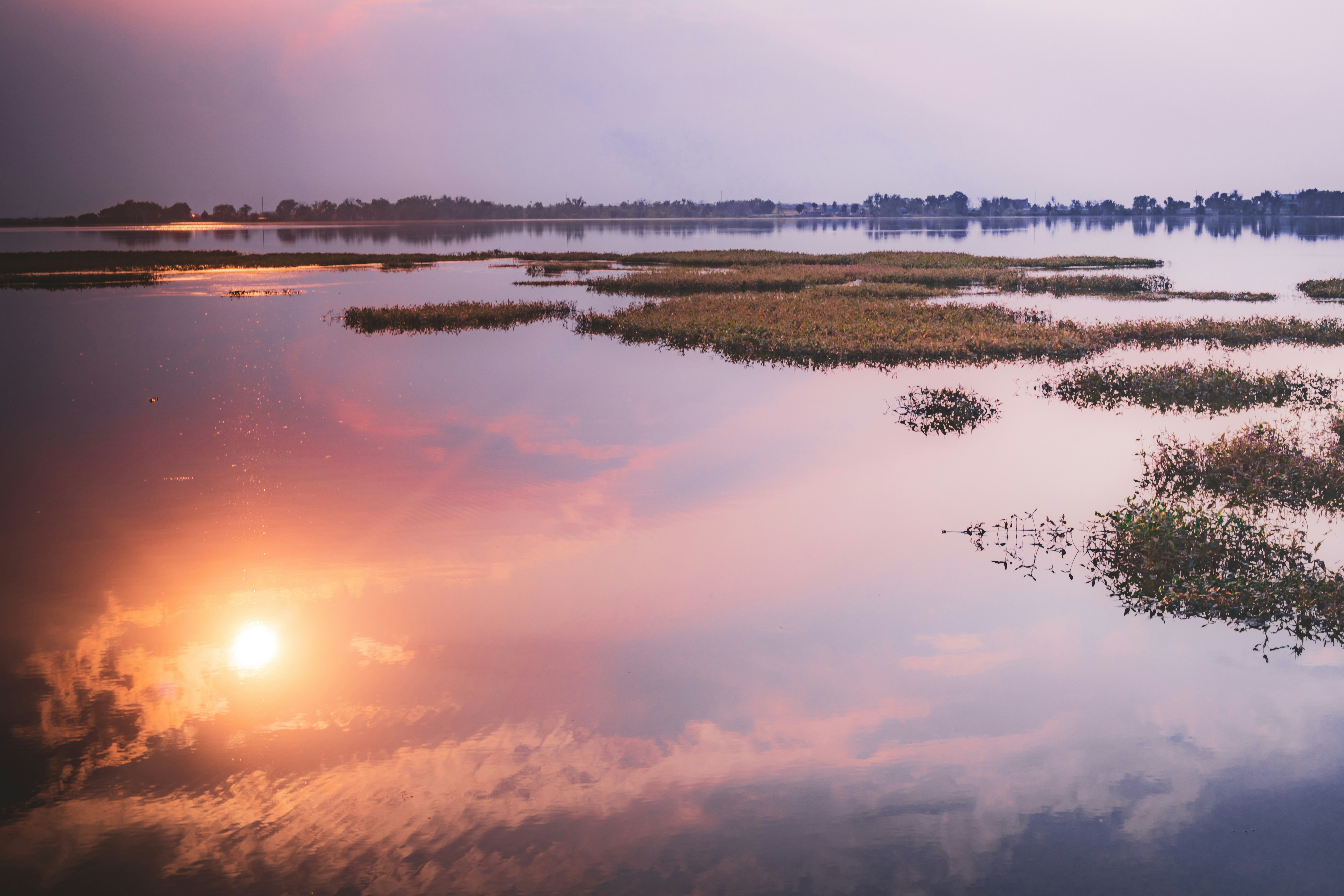 Photo by photosoflogan