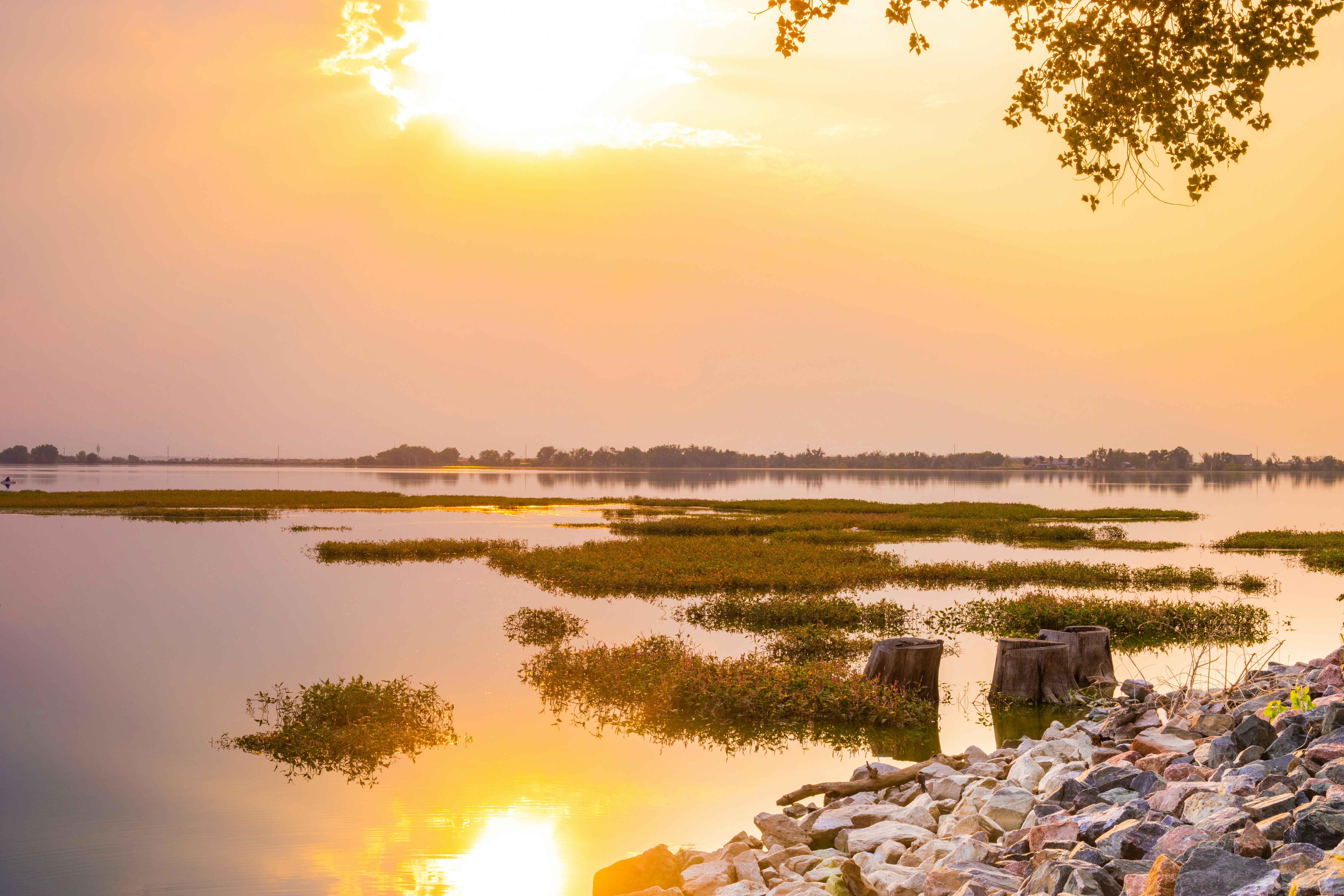 Photo by photosoflogan