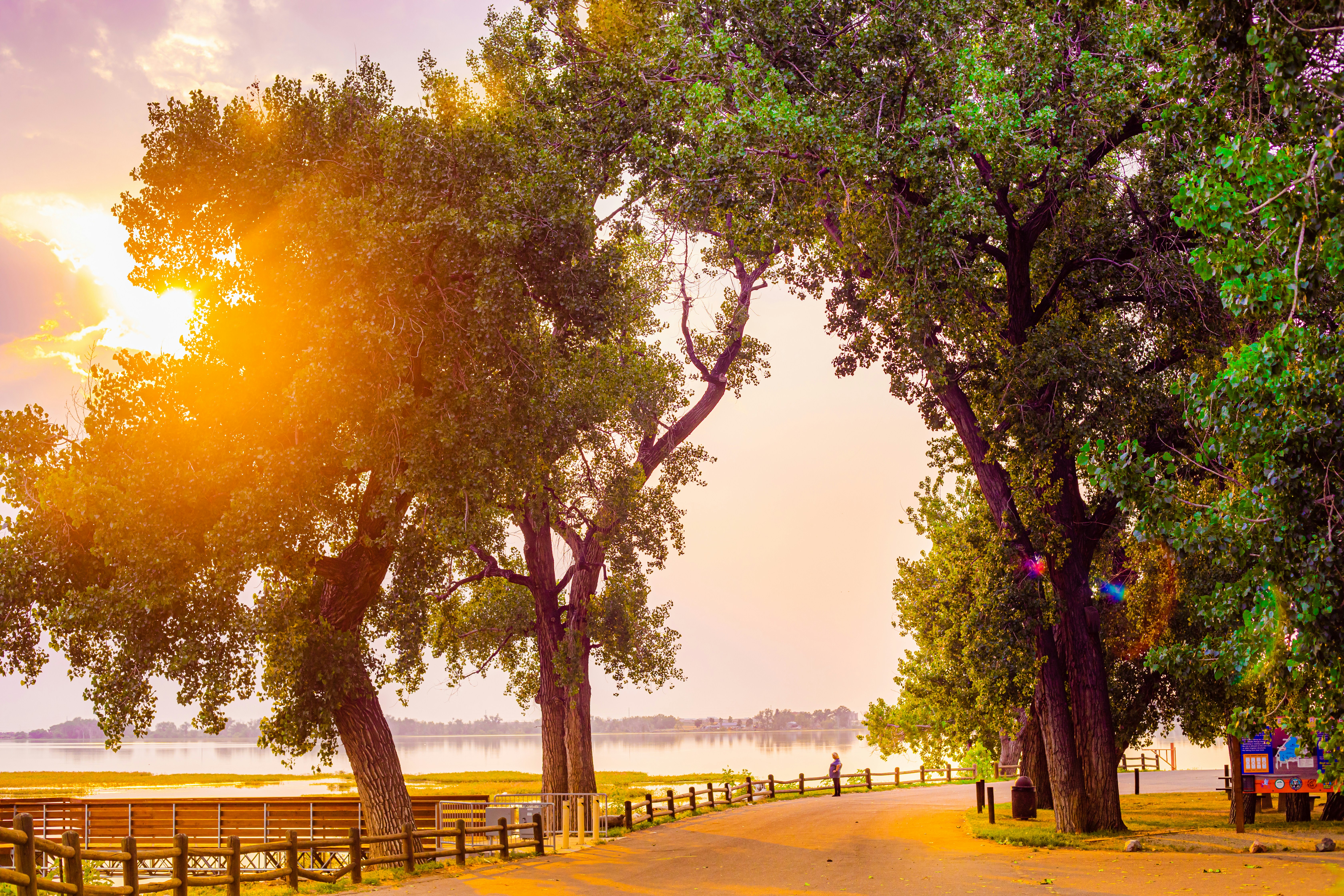 Photo by photosoflogan