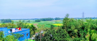 A rural landscape features a vibrant blue house with colorful clothes drying on a line. Surrounding the house are lush green trees and expansive fields, with patches of yellow vegetation or crops visible. In the background, there is a line of trees and a power line with a pylon, under a clear blue sky.