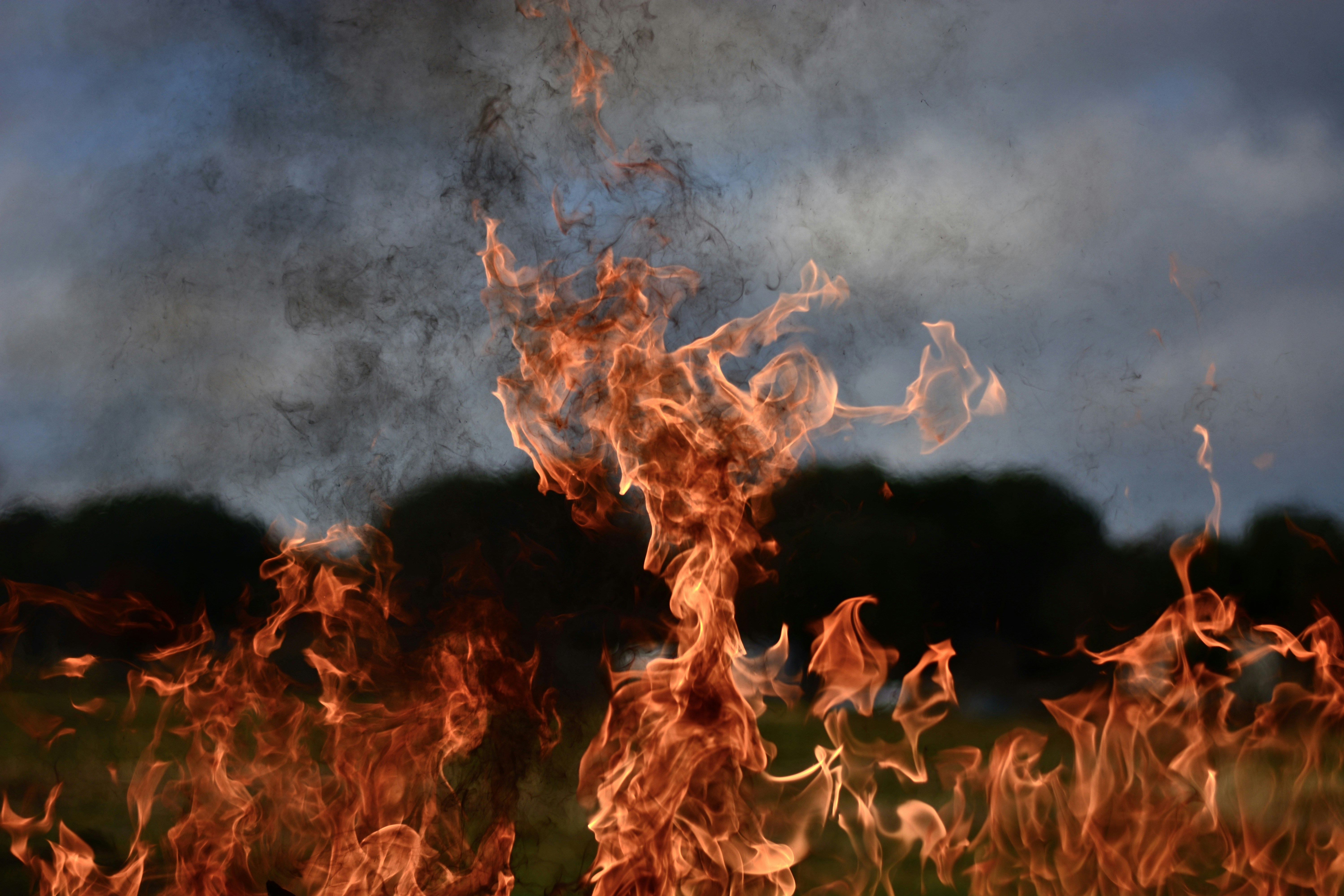 red and black abstract painting