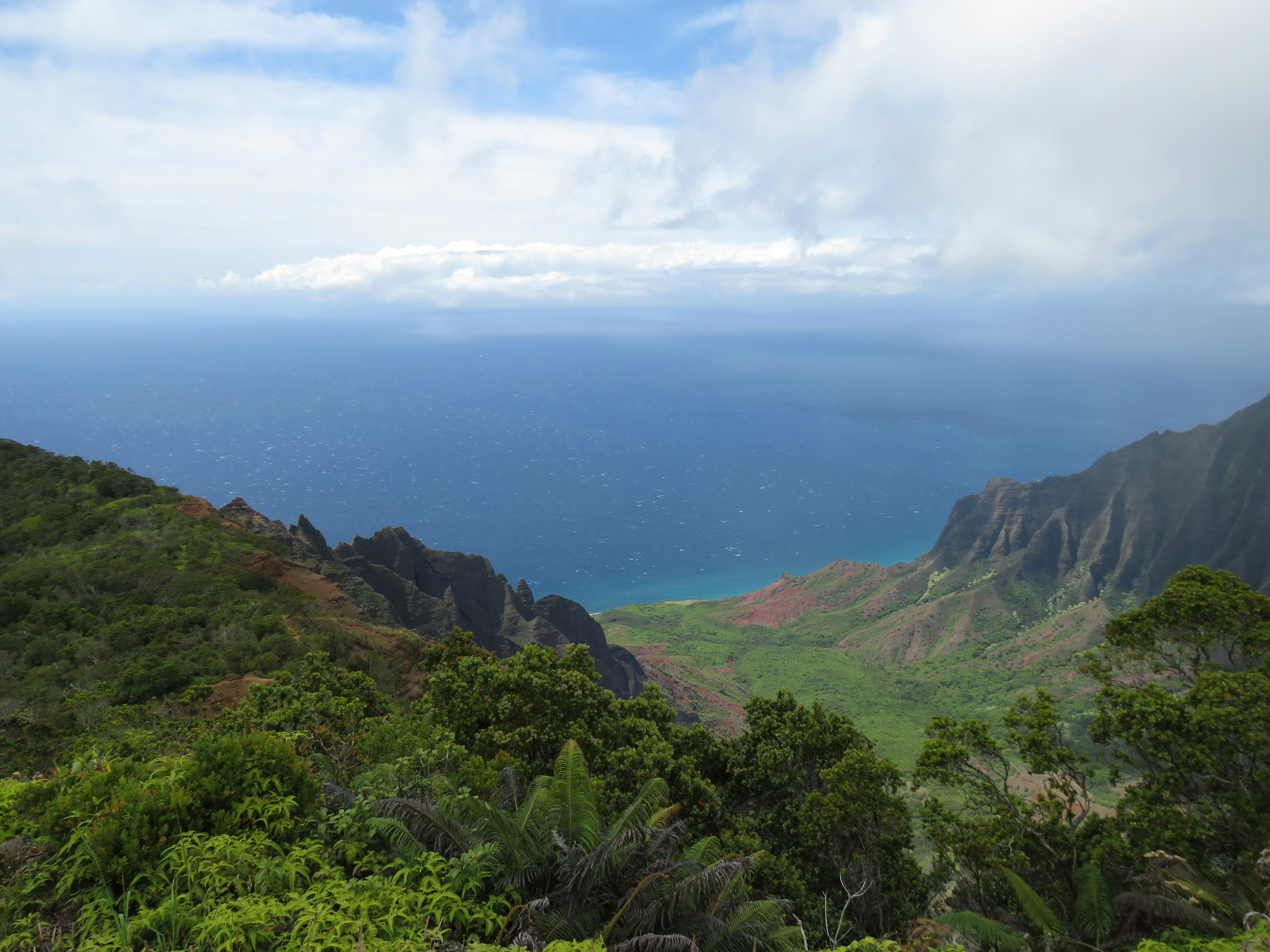 Photo by davidlangfyi