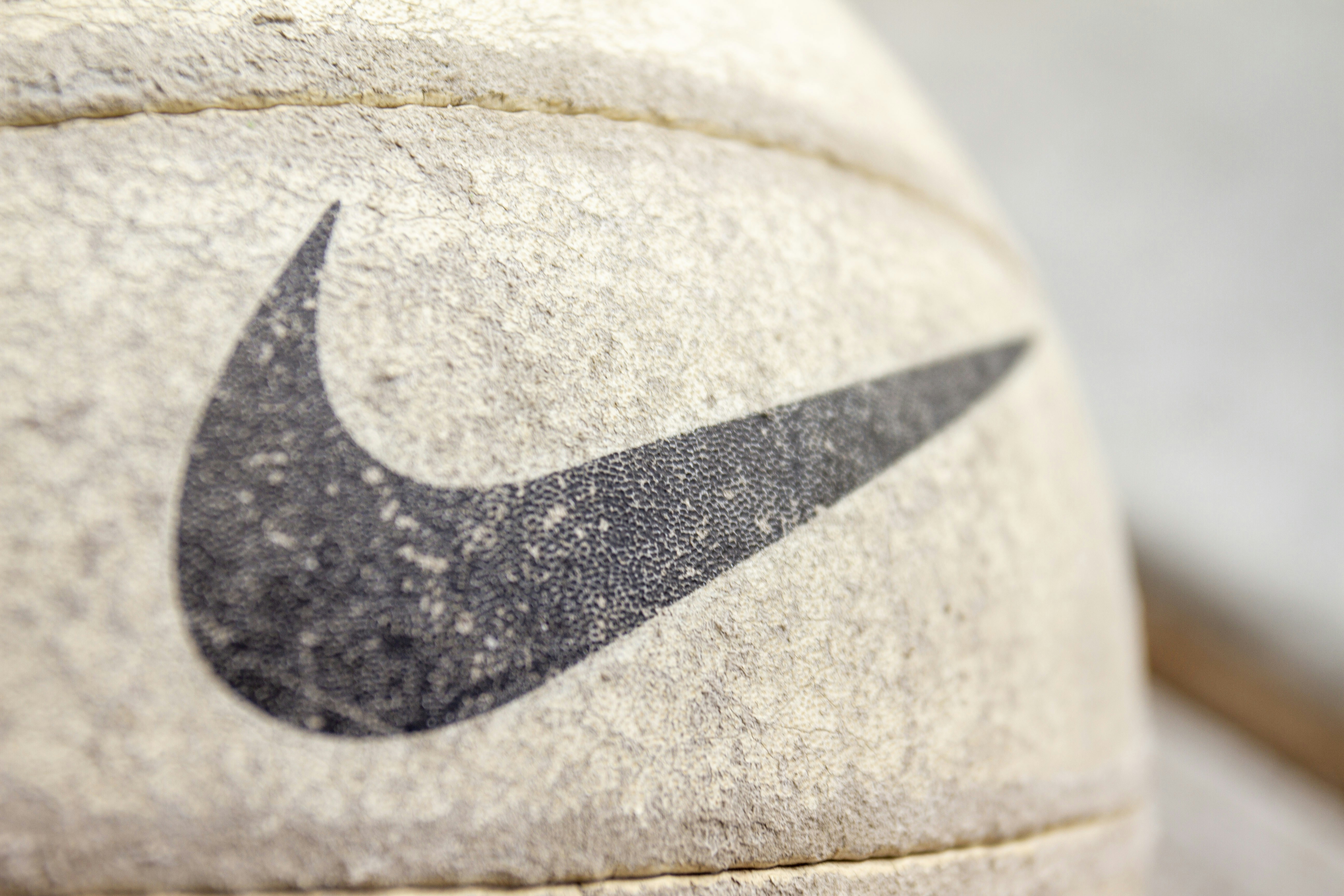 Rewanż DevelopRes Rzeszów kontra Allianz MTV Stutgart