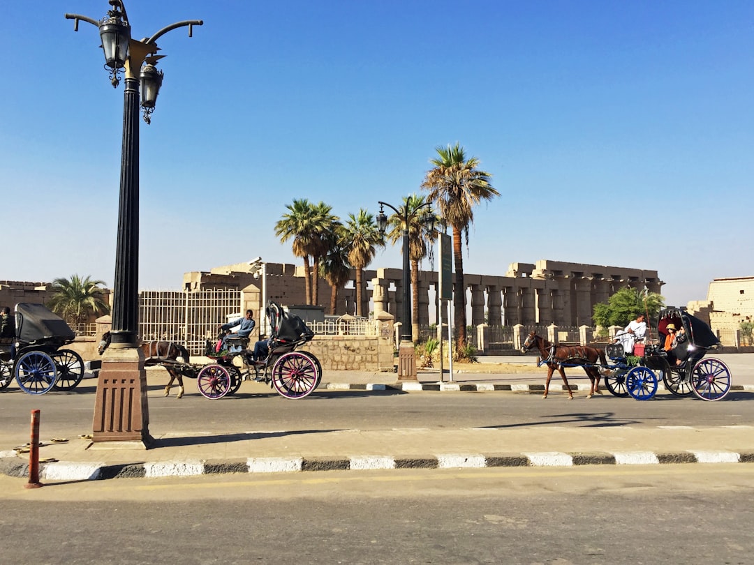 people riding on motorcycle on road during daytime