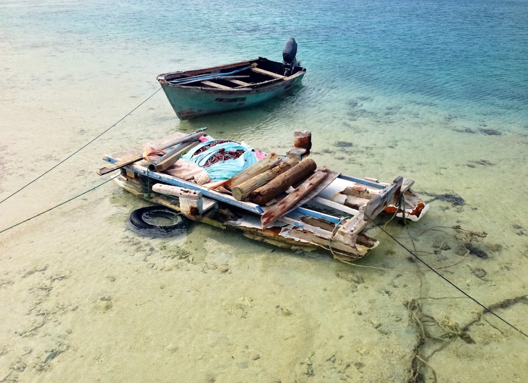 brown and white boat on beach shore during daytime