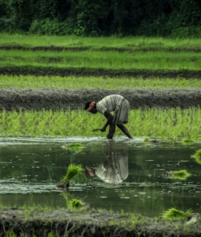 farmer in grey jacket and black pants holding a stick while walking on green grass field