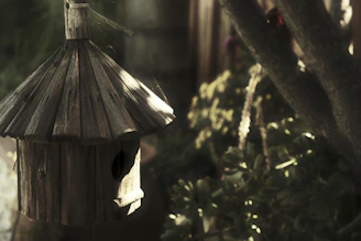 A rustic wooden birdhouse hanging from a tree branch in a sunlit garden.