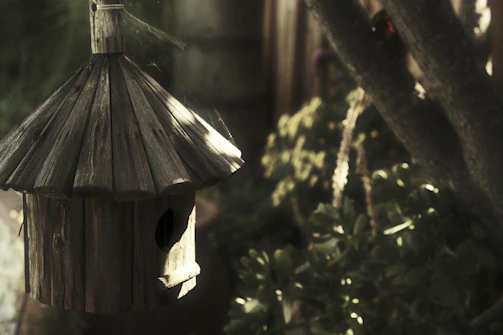 A sleek modern birdhouse design shown in a natural backyard setting.
