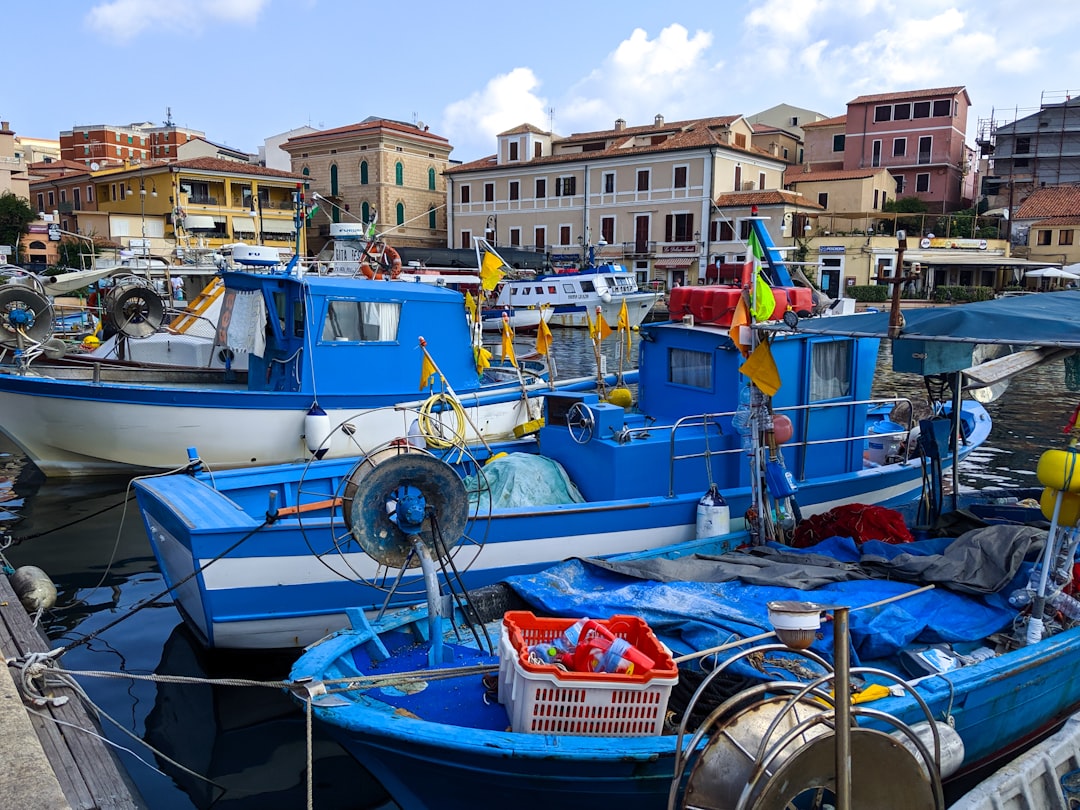 blue and white boat on dock during daytime