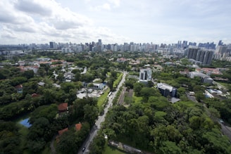 An aerial view of a bustling city with greenery.