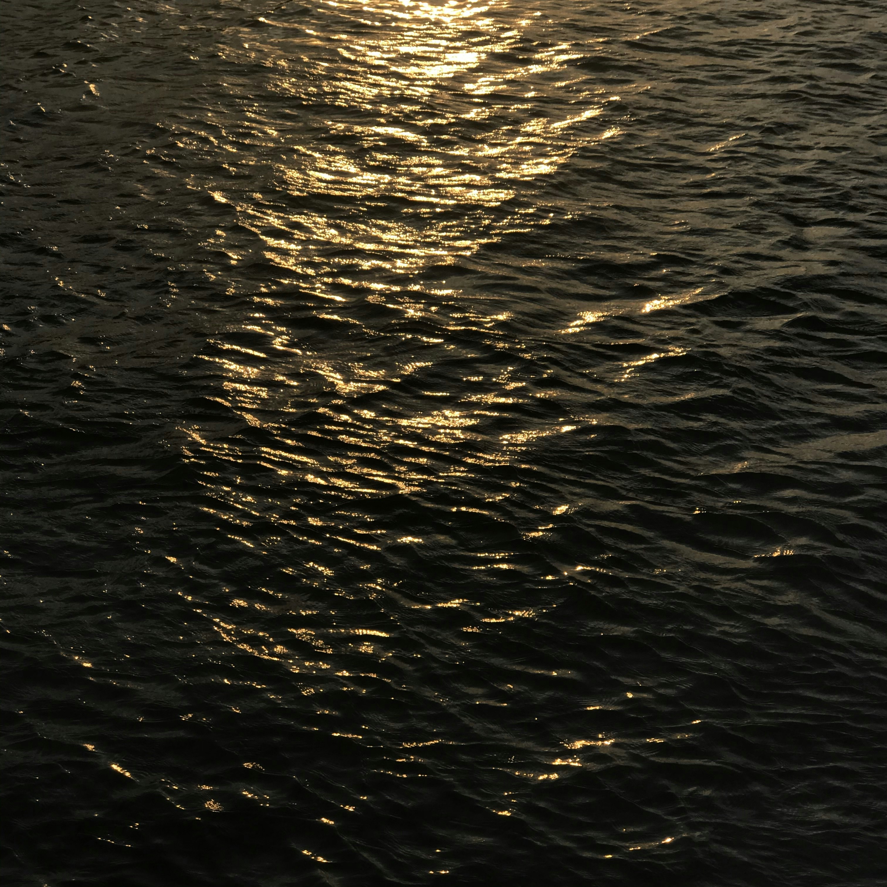 Photo by phamdchuong