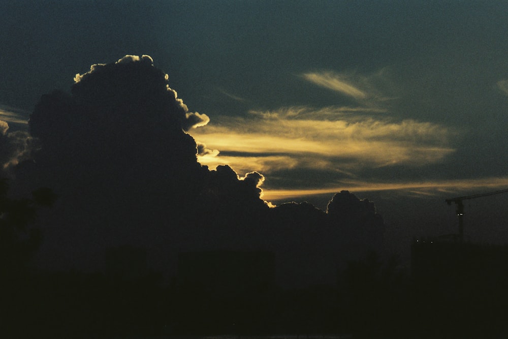 silhouette of trees under cloudy sky during sunset