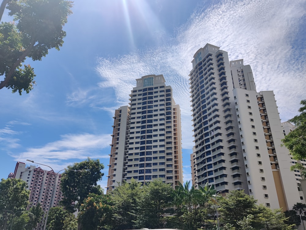 green trees near high rise buildings under blue sky during daytime