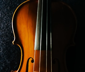 brown violin on black textile