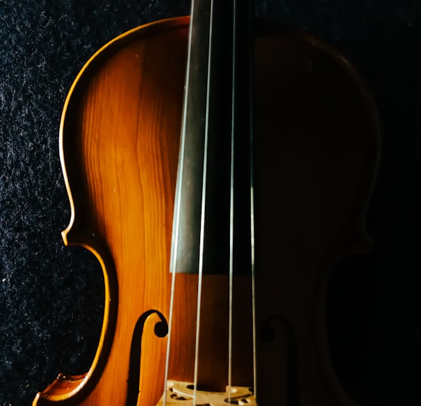 brown violin on black textile