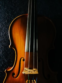 brown violin on black textile