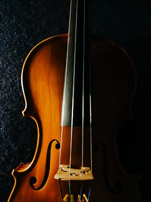 A close-up view of a wooden string instrument, focusing on the body and strings. The warm, natural wood tones contrast with the dark background, highlighting the instrument's curves and craftsmanship.
