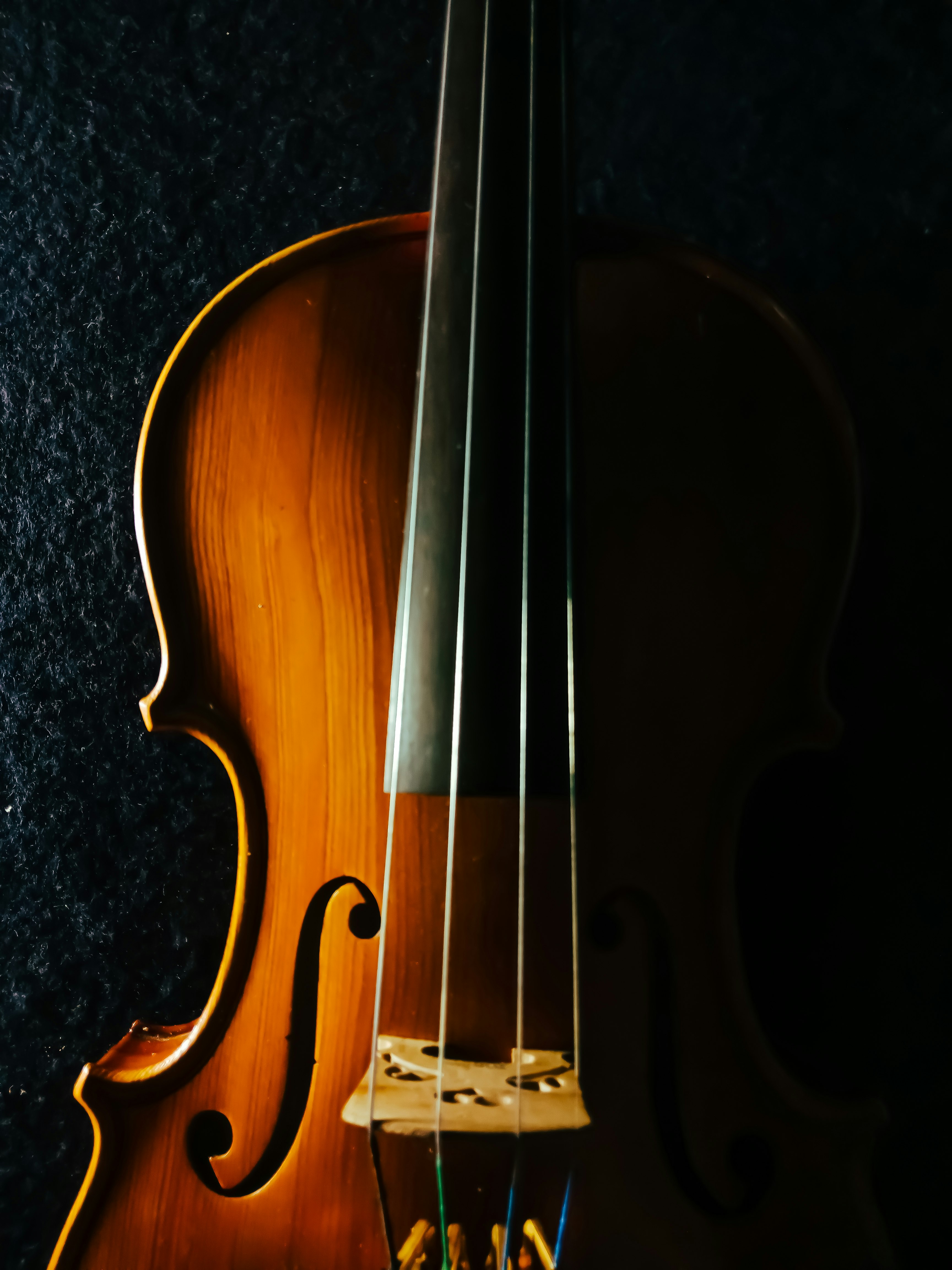 violin