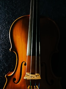 A close-up view of a wooden string instrument, focusing on the body and strings. The warm, natural wood tones contrast with the dark background, highlighting the instrument's curves and craftsmanship.