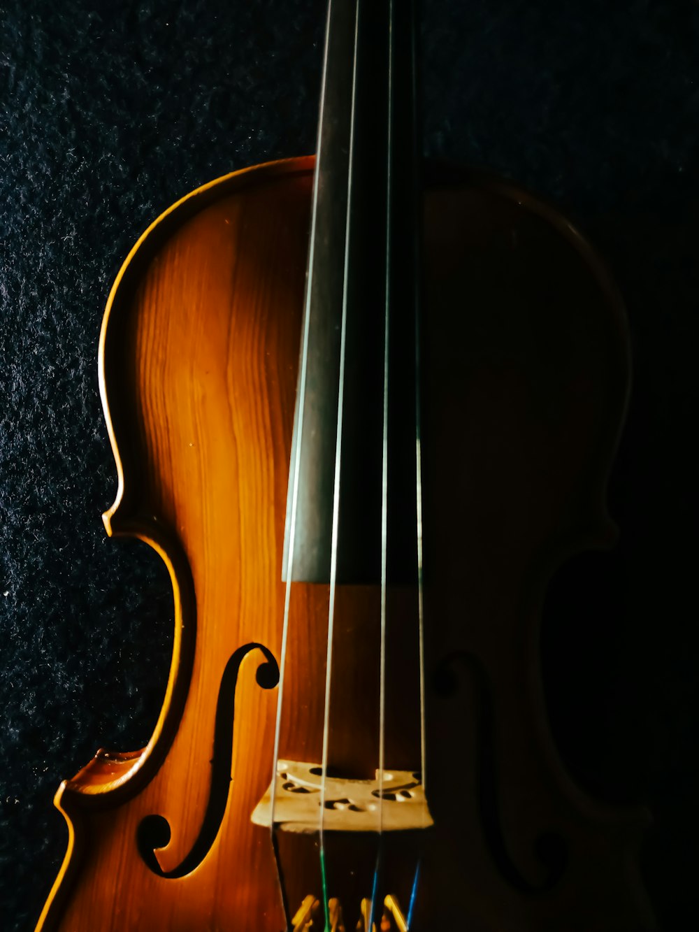 brown violin on black textile