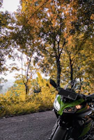 A scenic road winding through pine trees with a classic motorcycle parked at the side, ready for a ride.