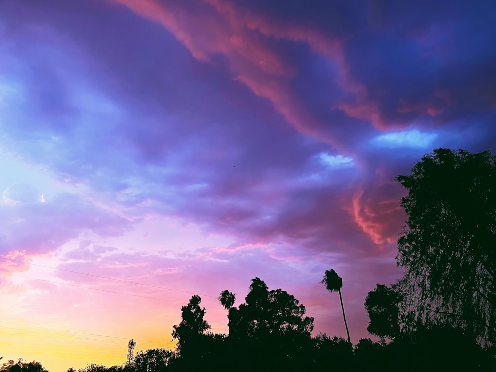 silhouette of trees under cloudy sky during sunset