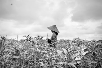 grayscale photo of person wearing hat in the middle of plants
