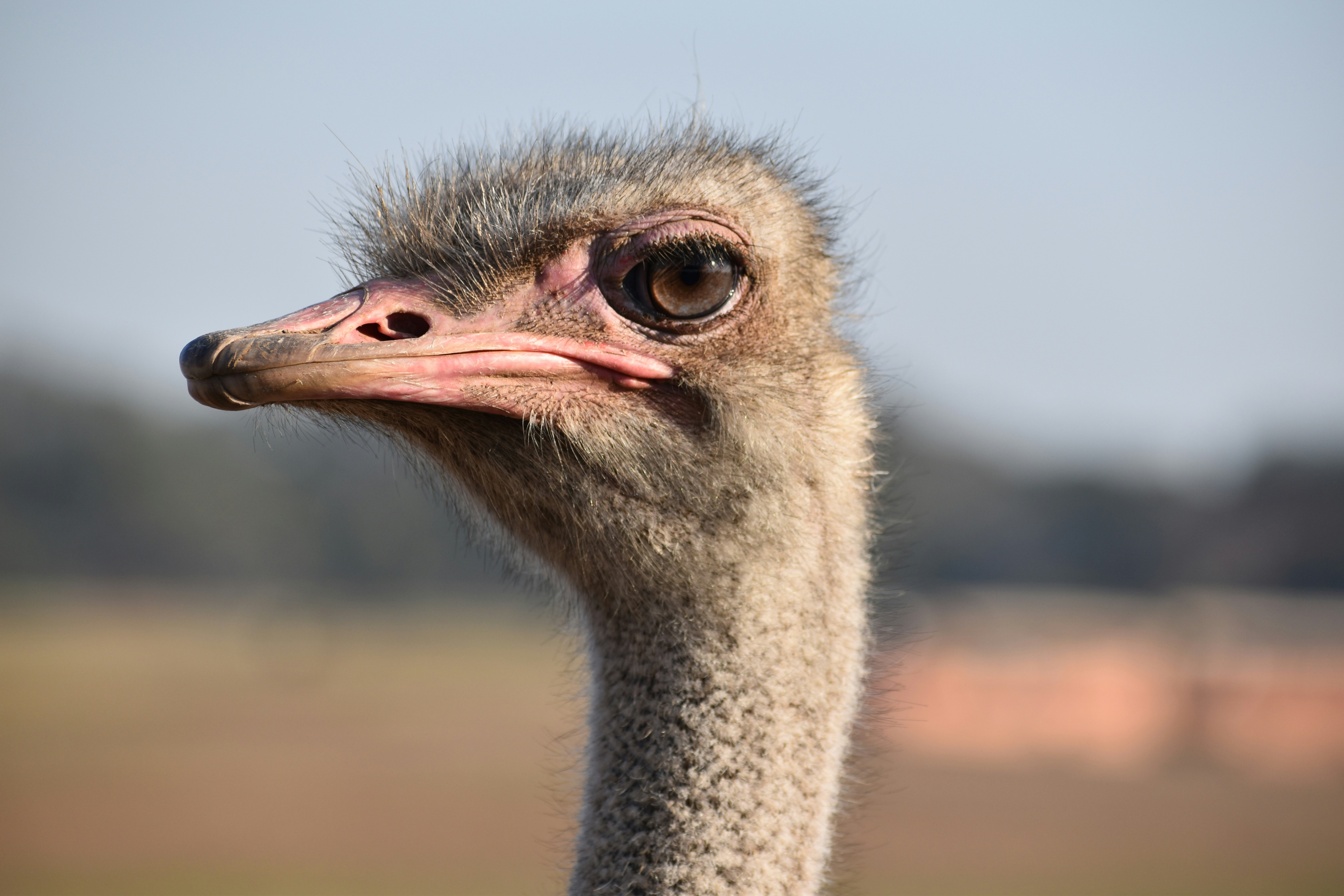 Photo by jasmincsobonyei