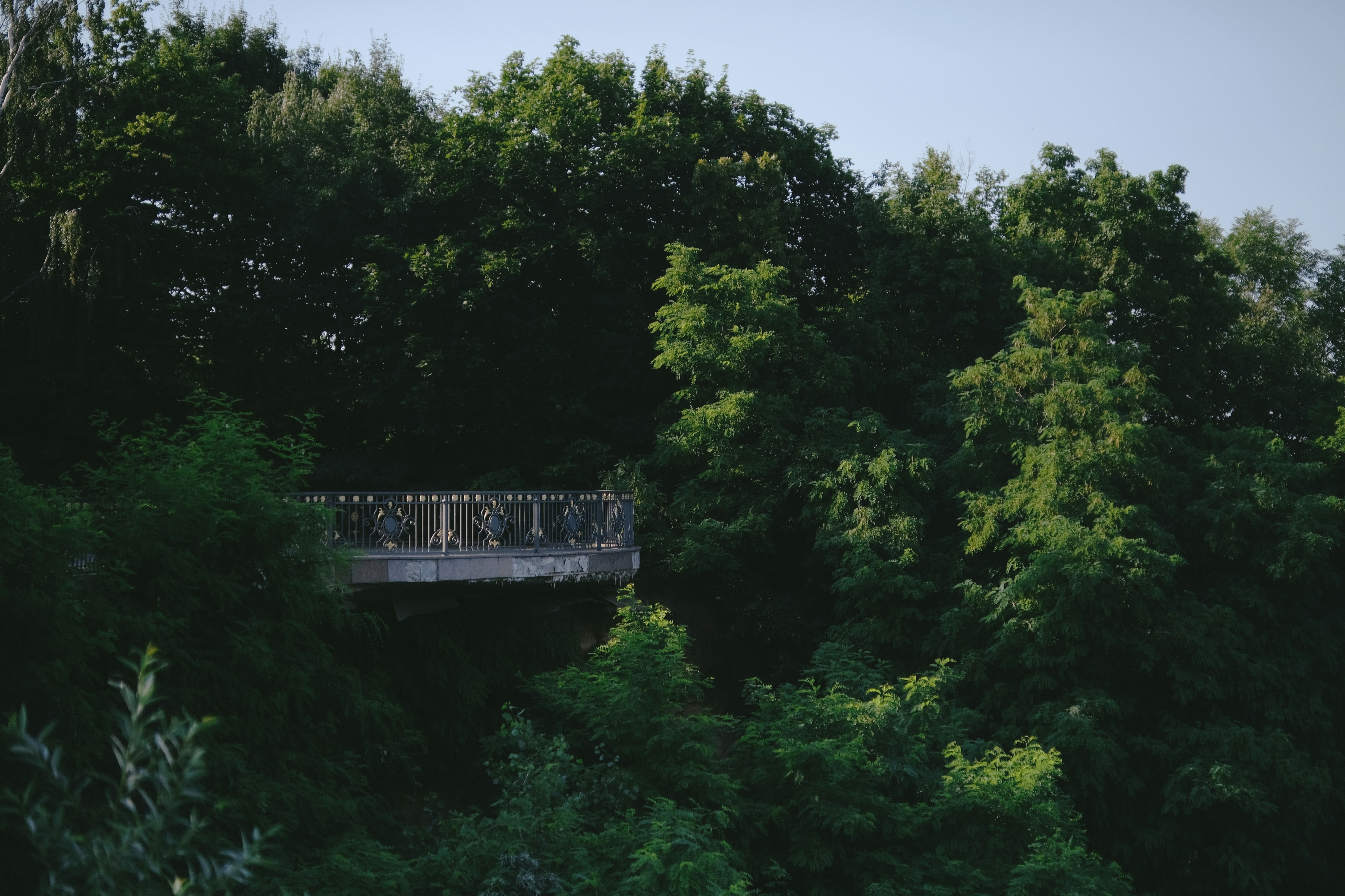 Photo by egorkomarov