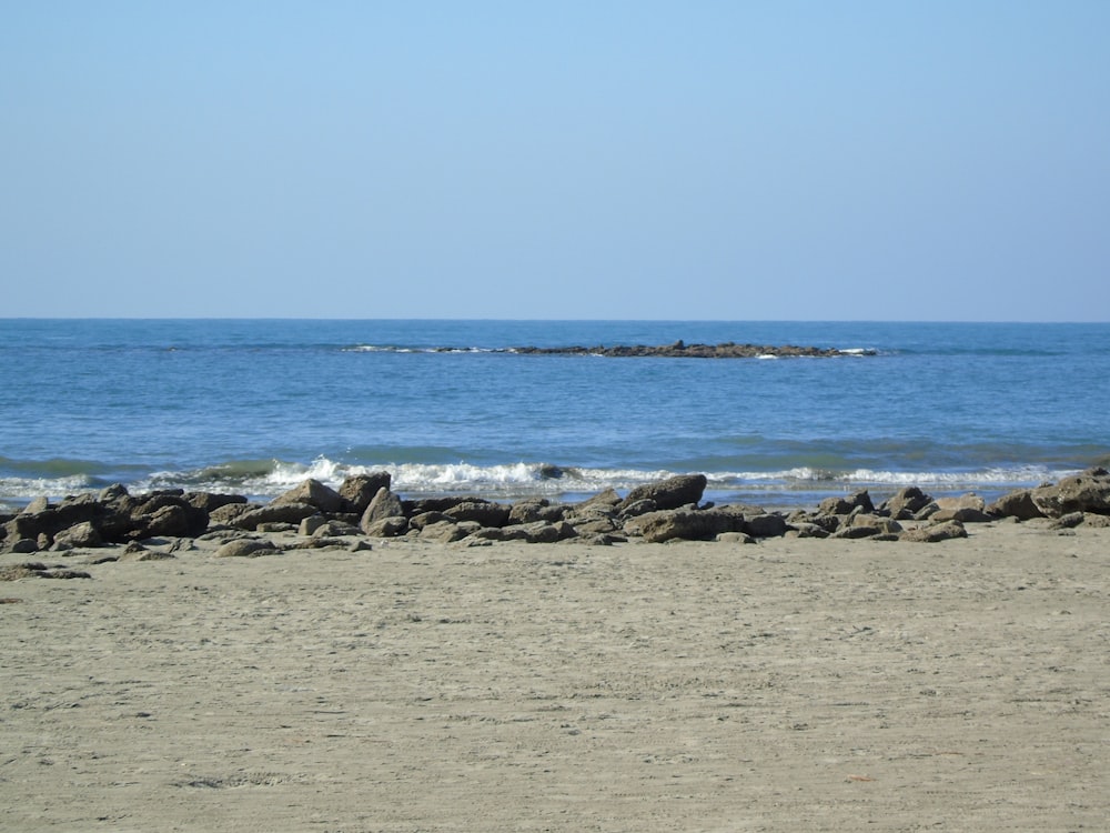 praia de areia marrom durante o dia