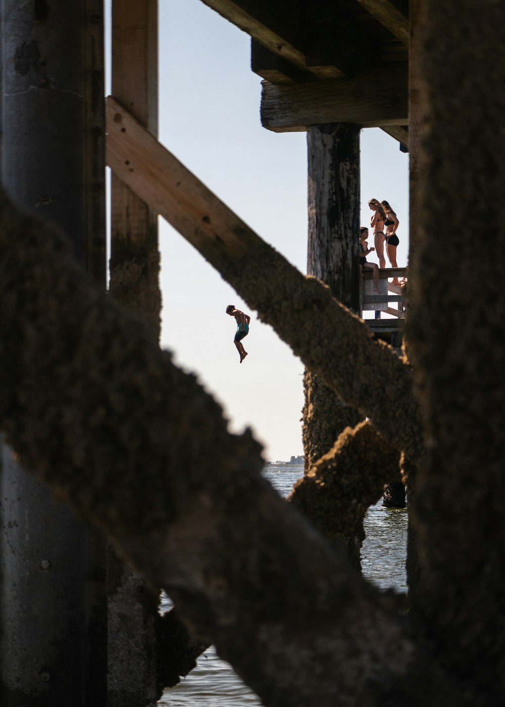 brown wooden post with water