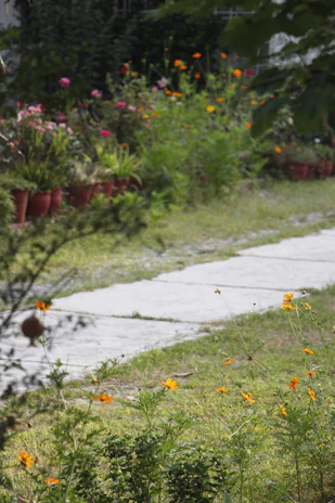 A garden path bordered by mixed materials including stone, metal, and brick.