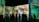 A large room featuring immersive digital projections of impressionist-style artwork focusing on close-up details of faces. Silhouettes of people are seen observing the vibrant and expressive paintings, with various postures suggesting engagement with the art.