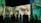 A large room featuring immersive digital projections of impressionist-style artwork focusing on close-up details of faces. Silhouettes of people are seen observing the vibrant and expressive paintings, with various postures suggesting engagement with the art.