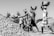 A group of men wearing traditional attire are working together to move a large pile of stones. Each man carries a basket, either lifting it high above their heads or pouring its contents onto the pile. The scene is captured in black and white, highlighting their muscular effort and teamwork under the clear sky.