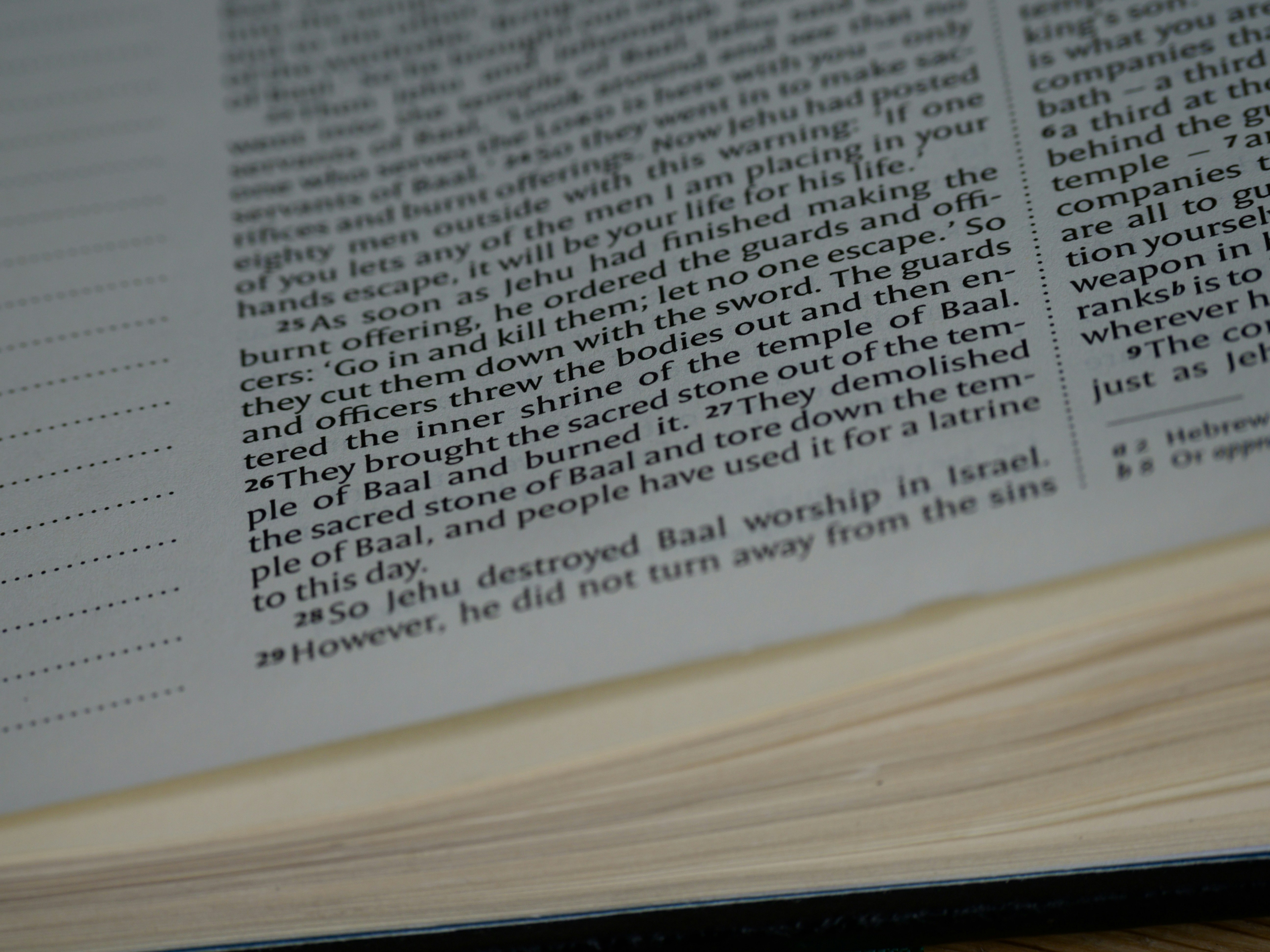 Photo by brett_jordan