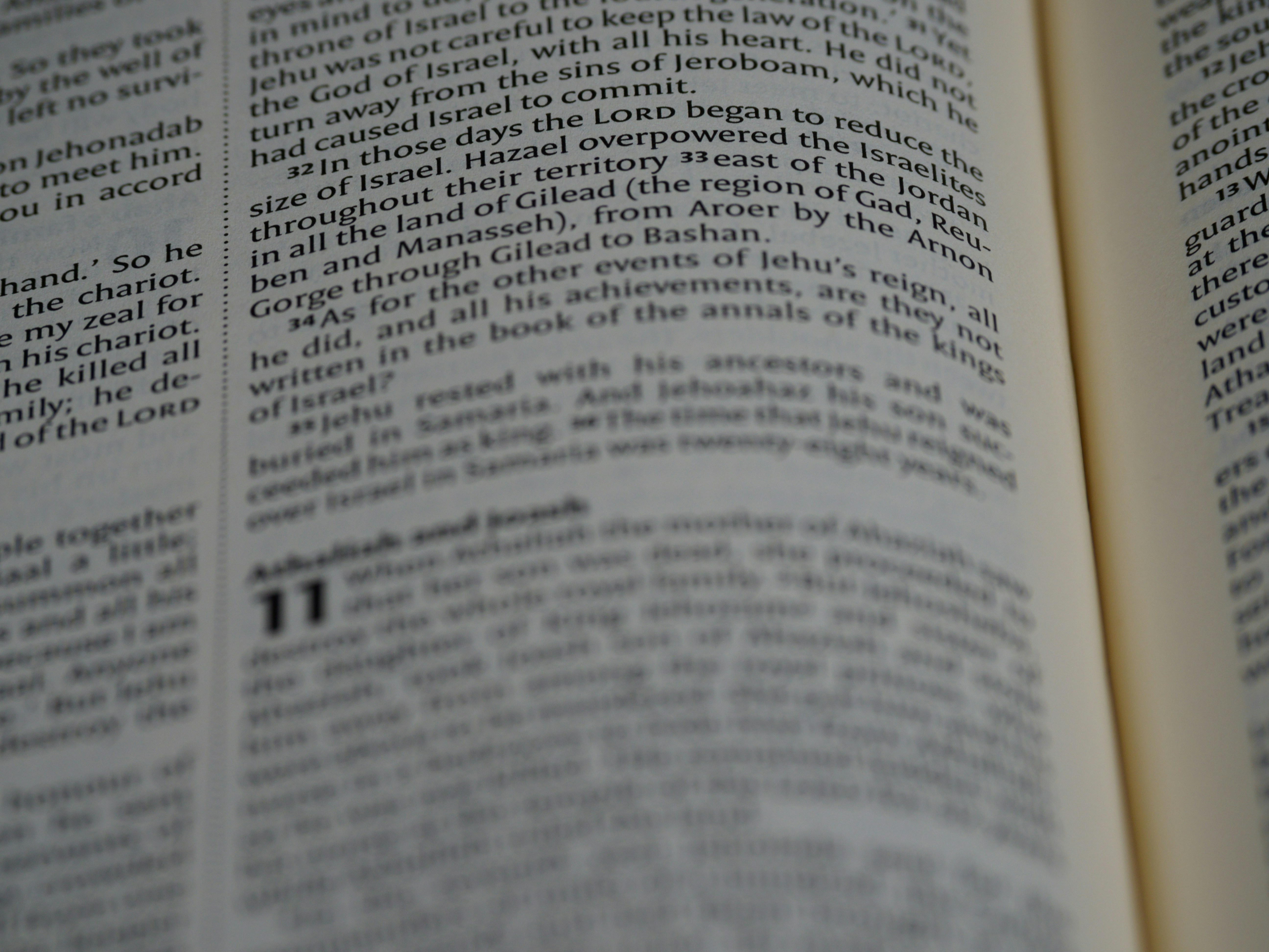 Photo by brett_jordan