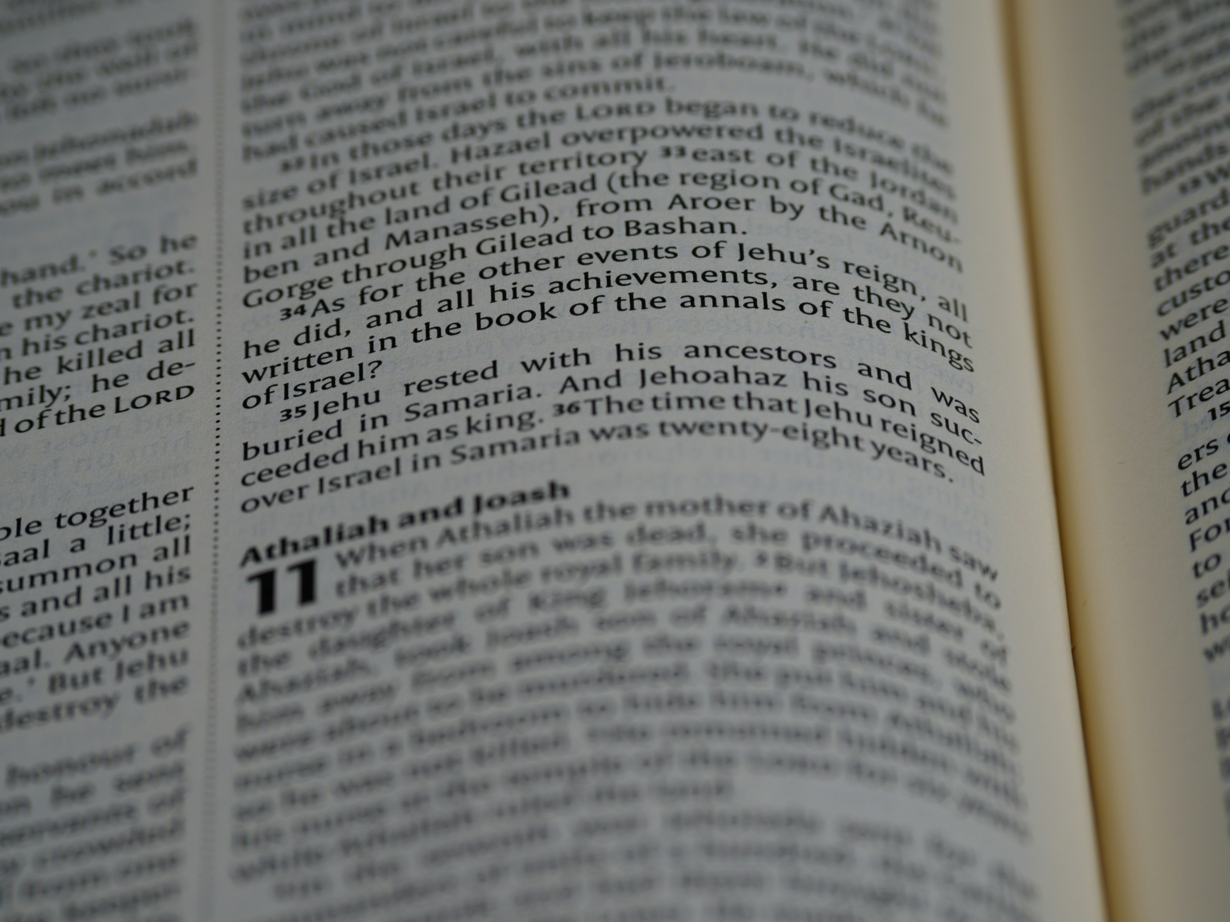 Photo by brett_jordan