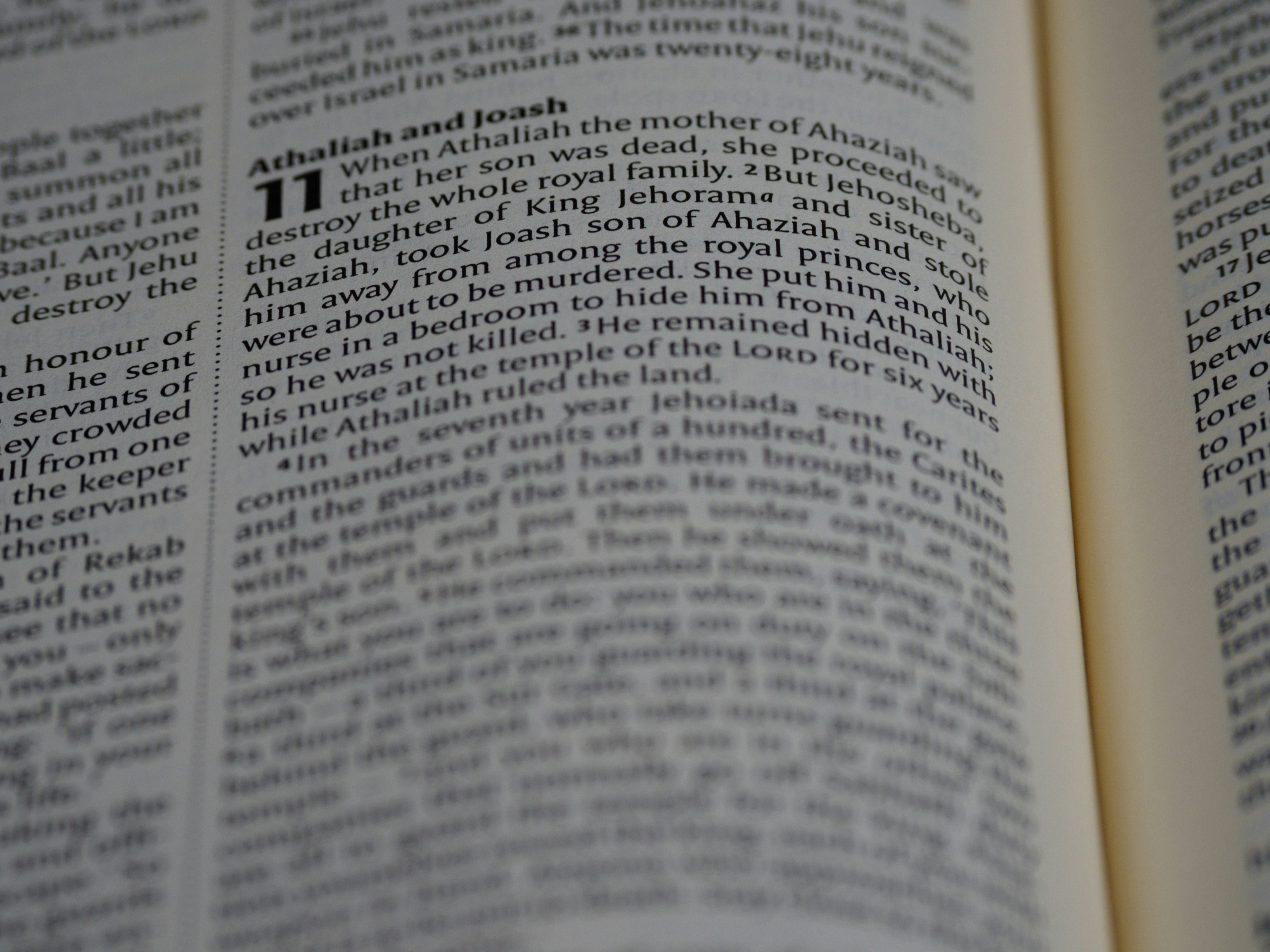 Photo by brett_jordan