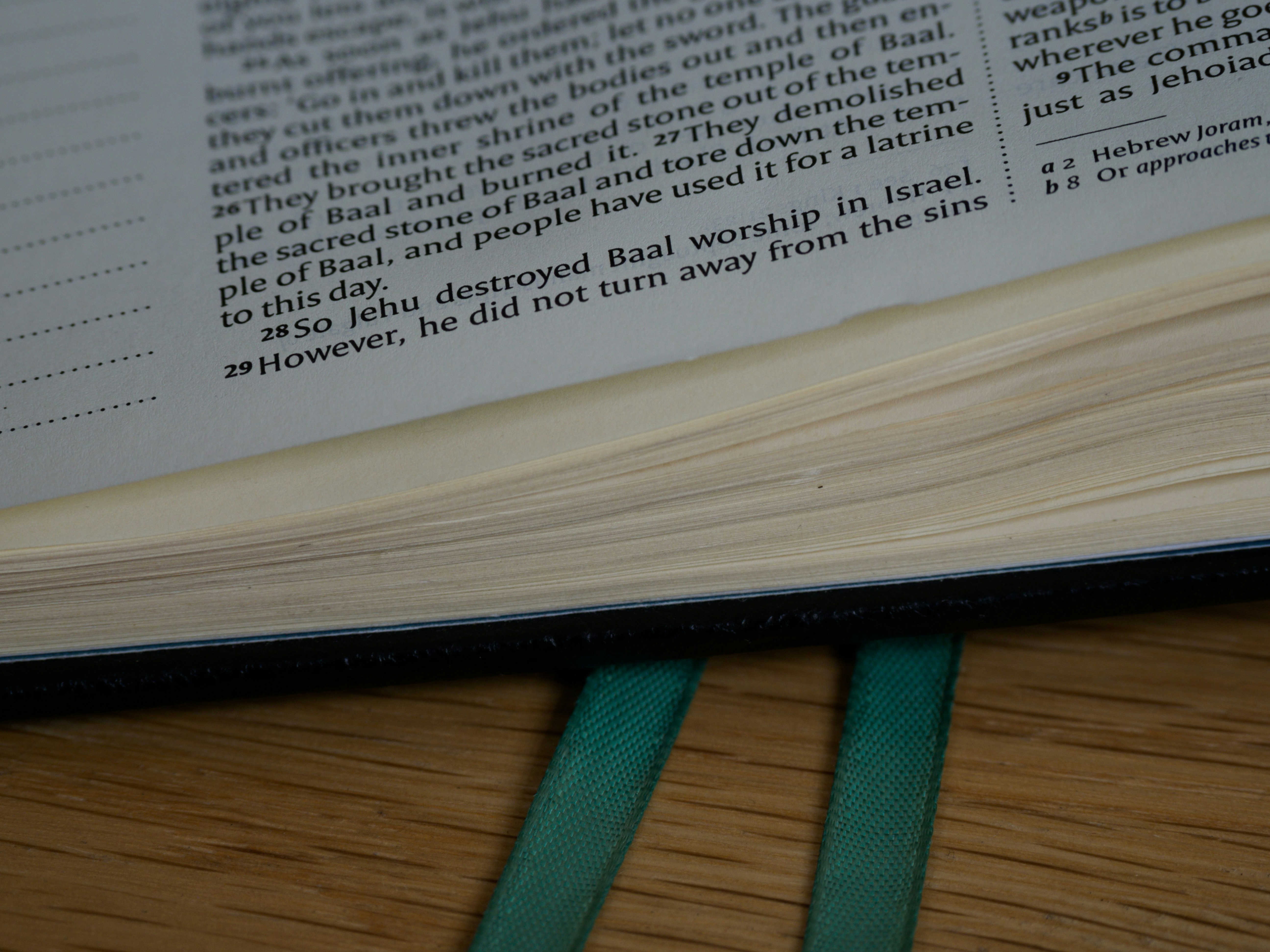 Photo by brett_jordan