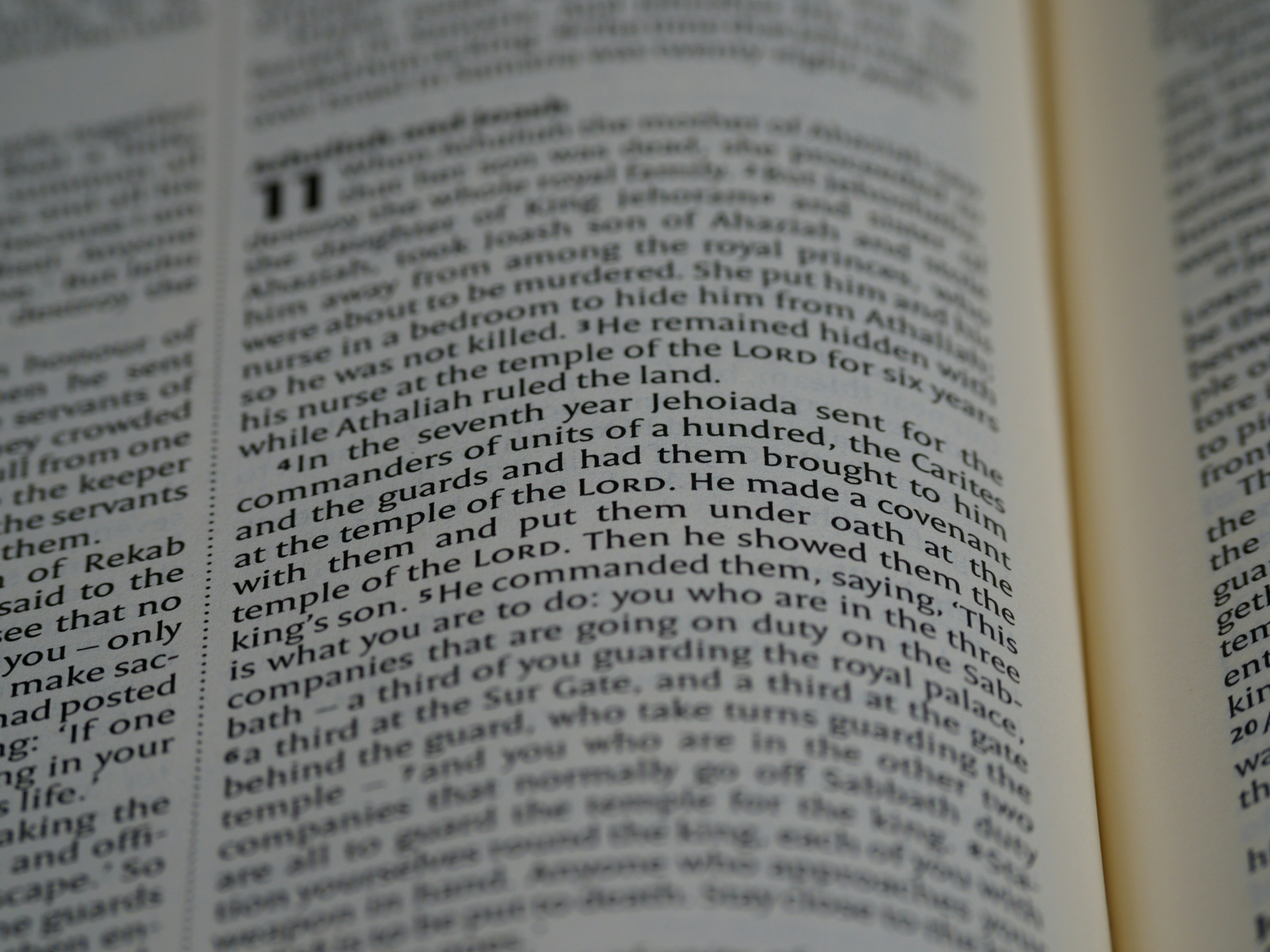 Photo by brett_jordan