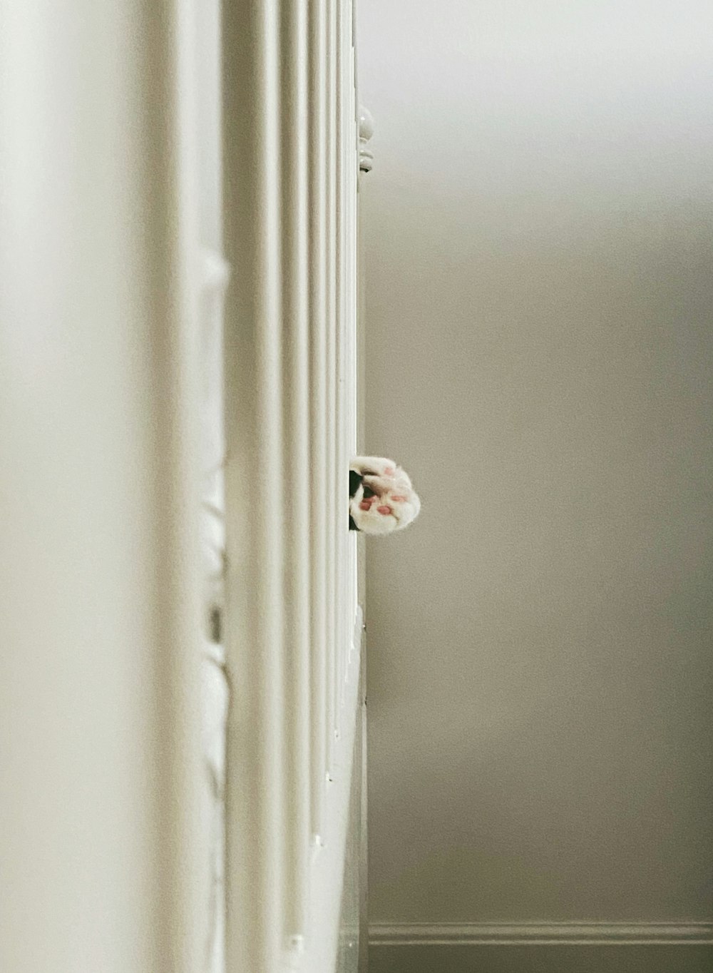 white and pink bird on white curtain